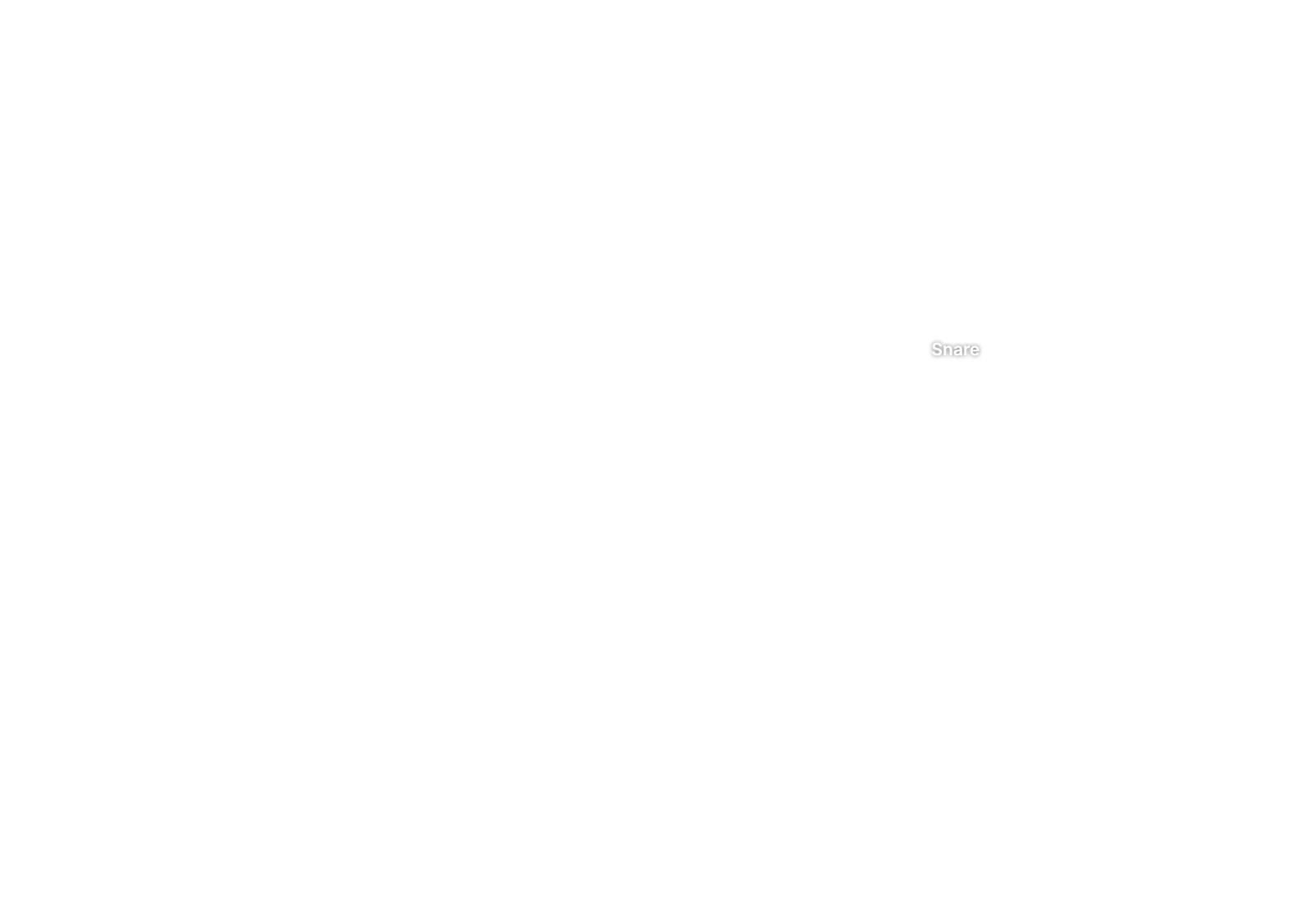Snare placement guide