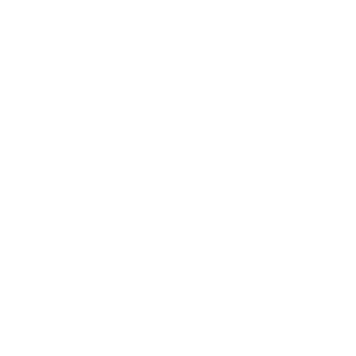 Video icon